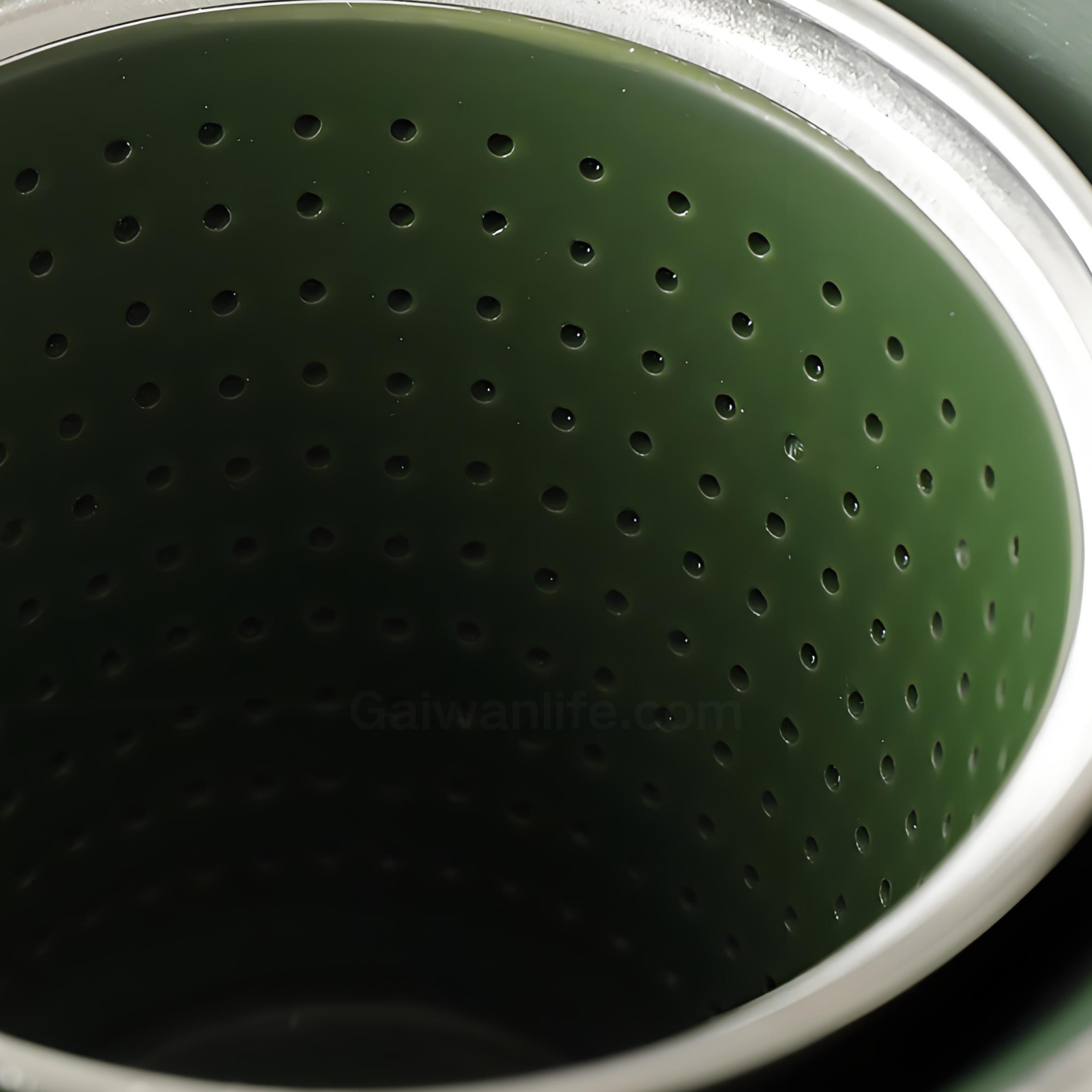 Handcrafted Silver-Inlaid Fish & Algae Gaiwan - 150ml Dark Green Ceramic, Collector’s Box